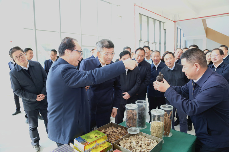 1704332178434255.jpg 4W7A3292_副本.jpg